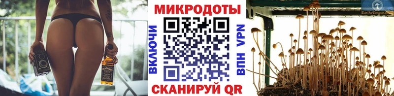 Галлюциногенные грибы Psilocybe  где найти   Темников 